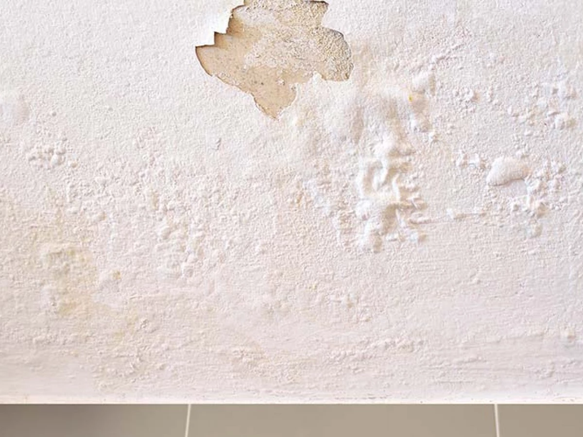 Peinture et traitement des murs